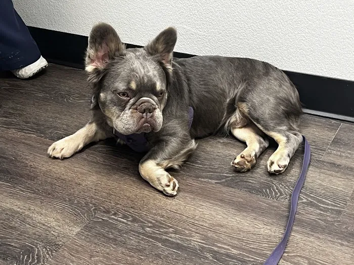 CityVet | Cibolo Crossing Picture 9