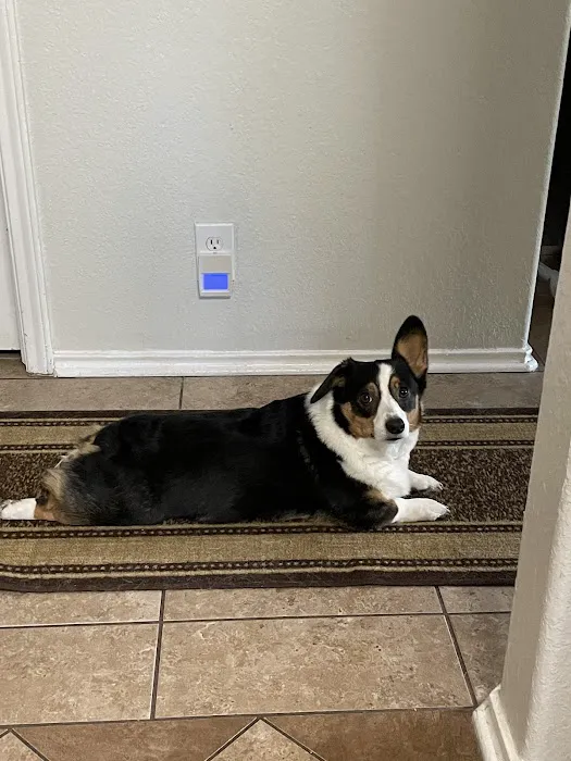 Cibolo Small Animal Hospital Picture 8