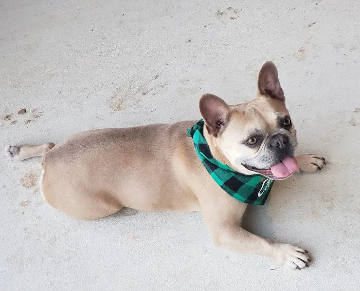 Garden Ridge Animal Hospital Picture 8