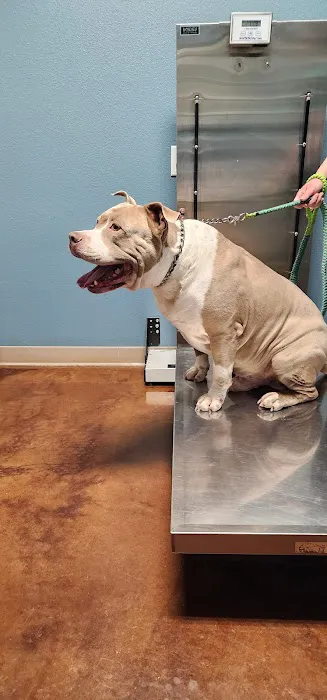 Garden Ridge Animal Hospital Picture 5