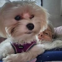 Garden Ridge Animal Hospital ico