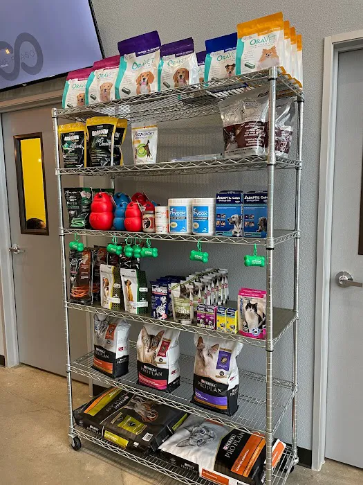 Traveling Tails Veterinary Clinic North Loop 1604 Picture 9