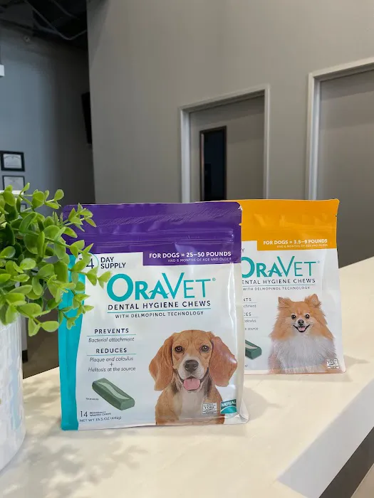 Traveling Tails Veterinary Clinic North Loop 1604 Picture 8