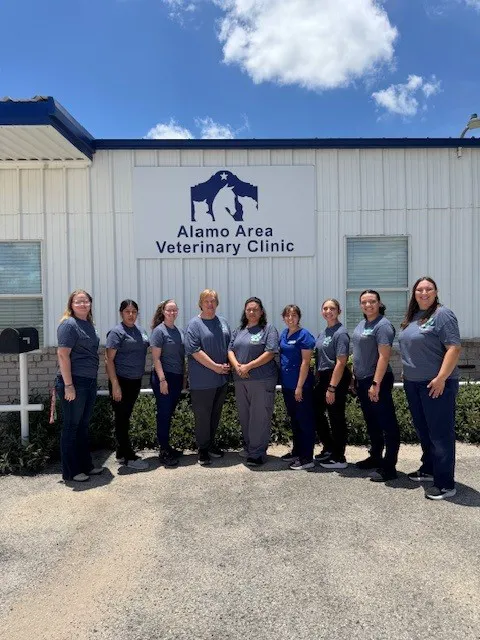 Alamo Area Veterinary Clinic Picture 6