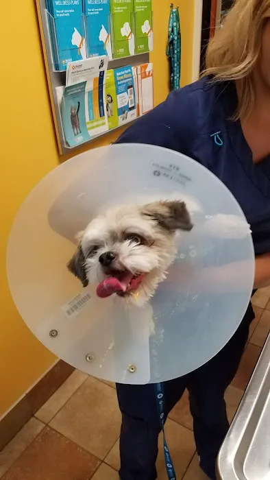 Banfield Pet Hospital Picture 10