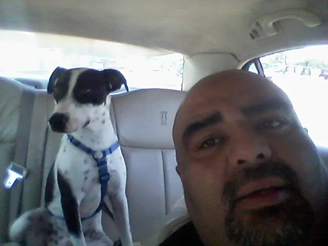 Banfield Pet Hospital Picture 2