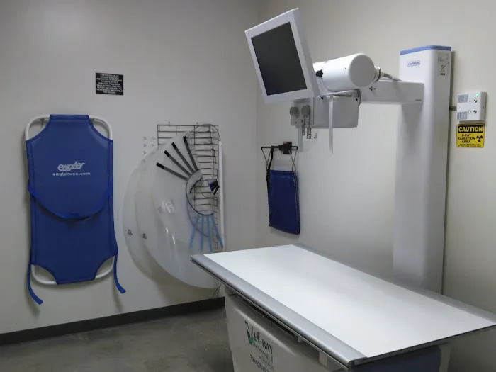 Vetco Total Care Animal Hospital Picture 6