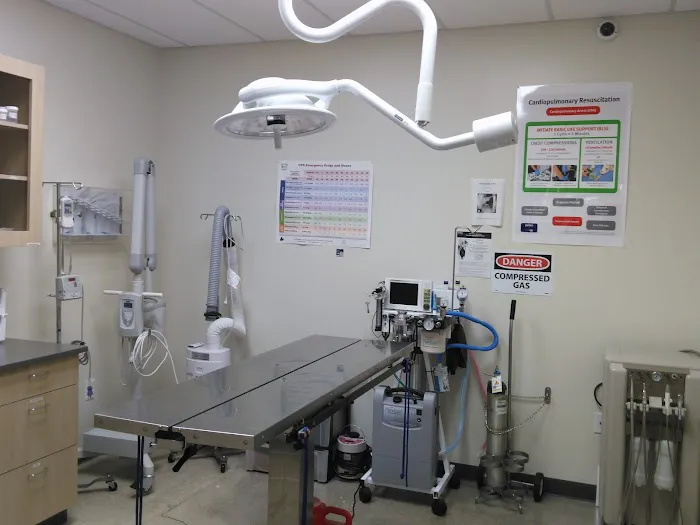 Vetco Total Care Animal Hospital Picture 10