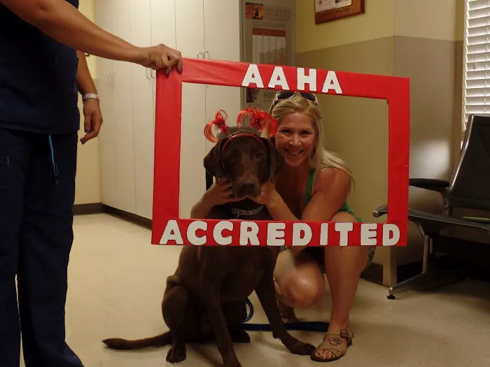 Hill Country Animal Hospital Picture 1