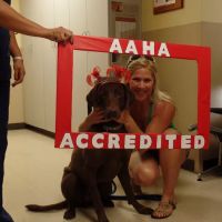 Hill Country Animal Hospital ico