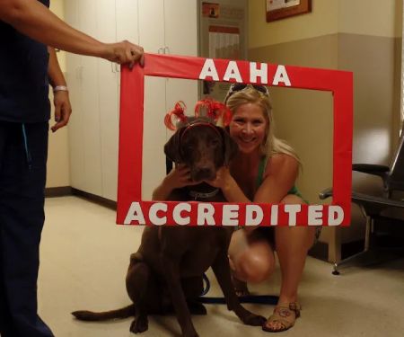 Hill Country Animal Hospital