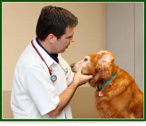Hill Country Animal Hospital Picture 2