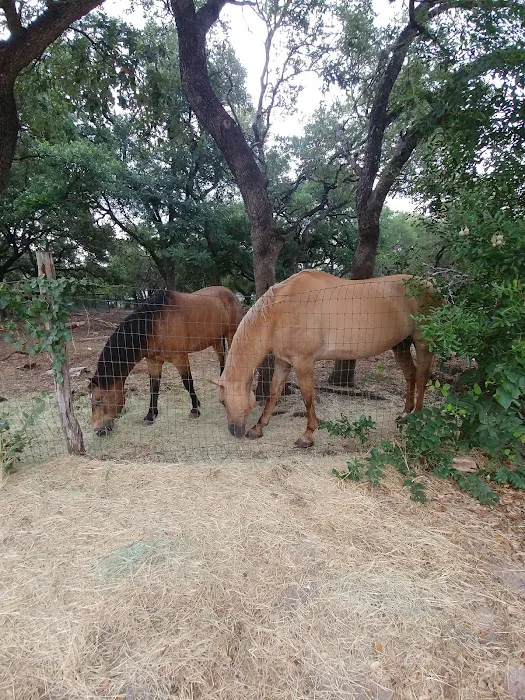 Hooves & Paws Veterinary Clinic Picture 4