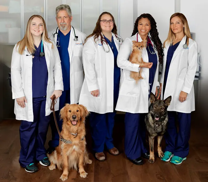 MissionVet Specialty & Emergency Picture 3