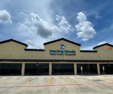 Healing Hands Veterinary Hospital