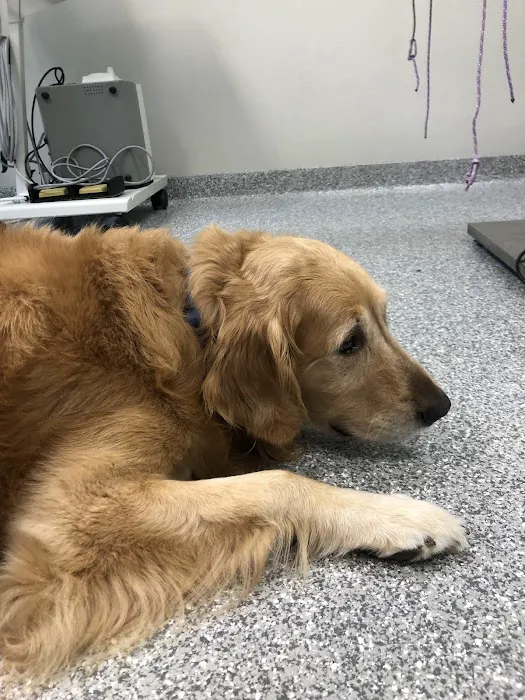 Community Pet Health Center Picture 8