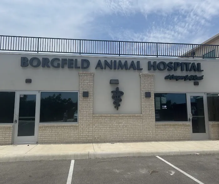 Borgfeld Animal Hospital at Canyon Golf Picture 6