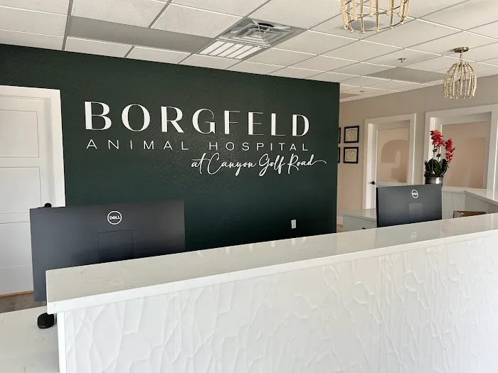 Borgfeld Animal Hospital at Canyon Golf Picture 4