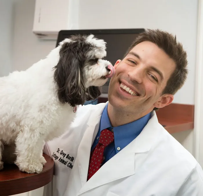 Cottage Animal Clinic of Carmel Picture 5