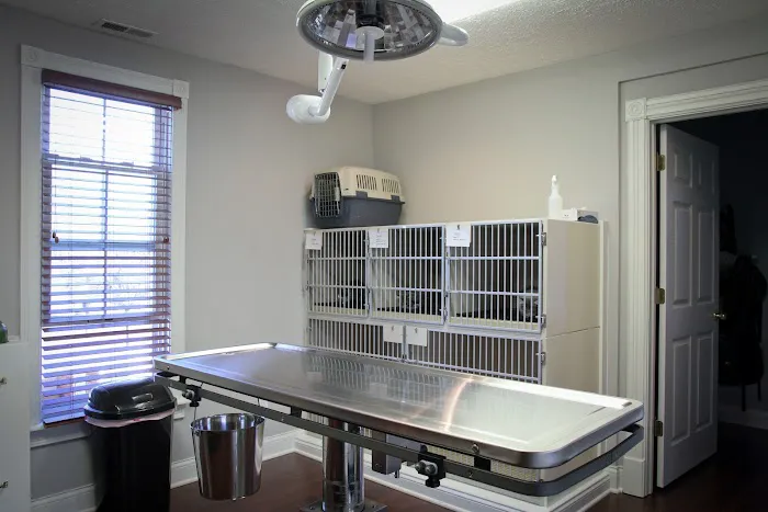 Cottage Animal Clinic of Carmel Picture 1