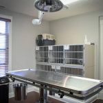 Cottage Animal Clinic of Carmel