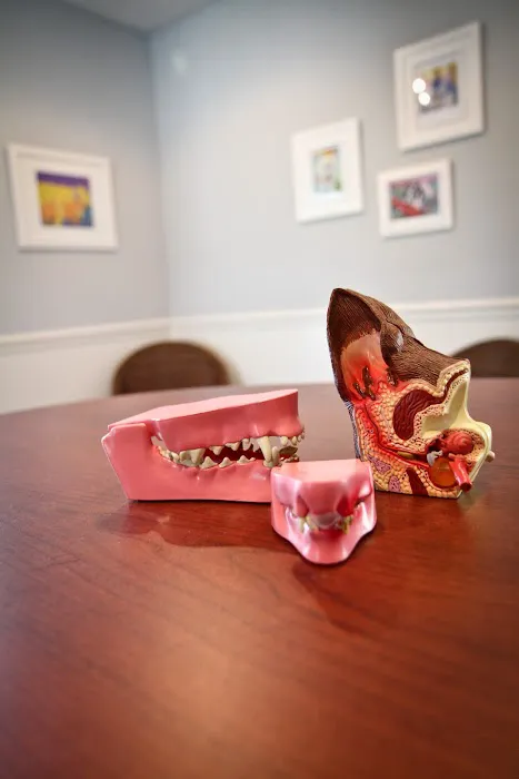 Cottage Animal Clinic of Carmel Picture 3