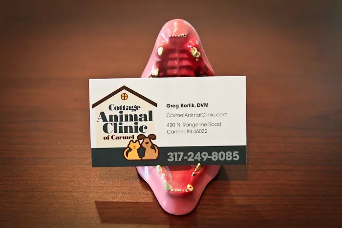 Cottage Animal Clinic of Carmel Picture 9