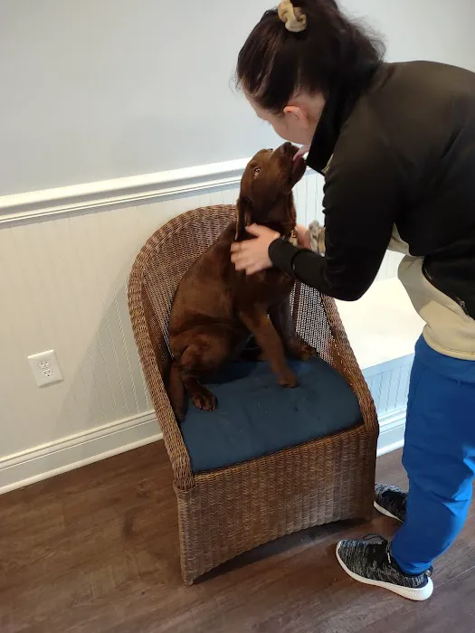 Cottage Animal Clinic of Carmel Picture 8