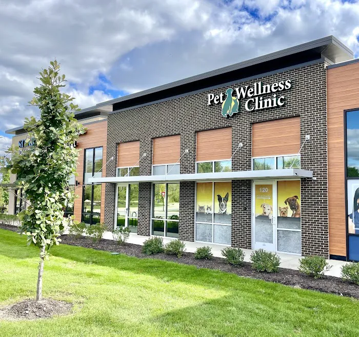 Carmel Pet Wellness Clinic Picture 6