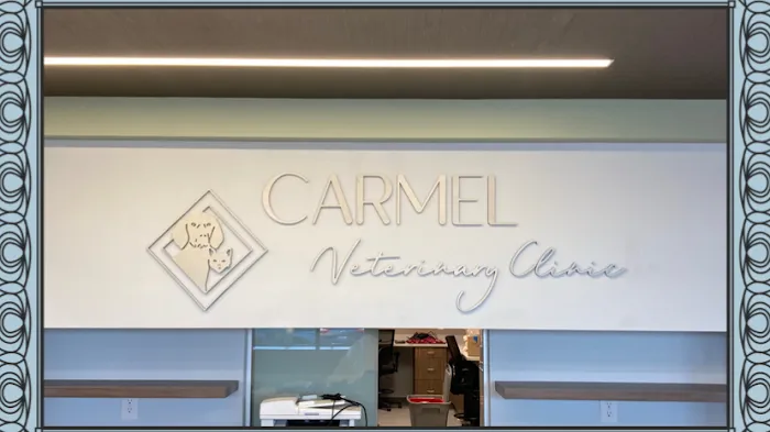 Carmel Veterinary Clinic Picture 8
