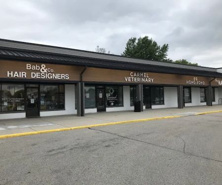 Carmel Veterinary Clinic