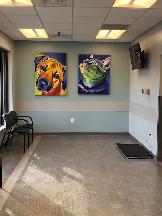 Carmel Veterinary Clinic Picture 10