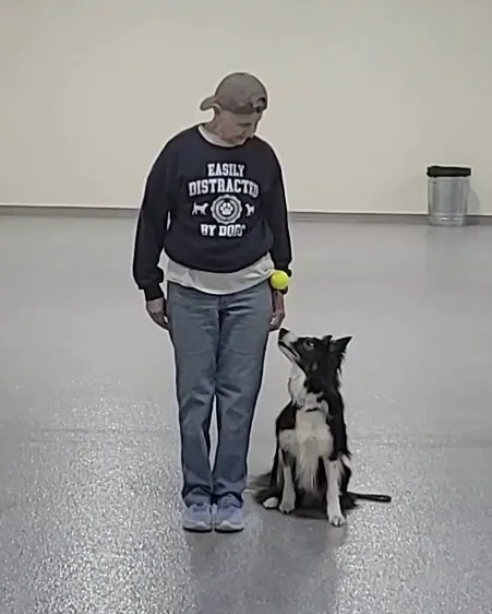 Veterinary Behavior of Indiana Picture 2