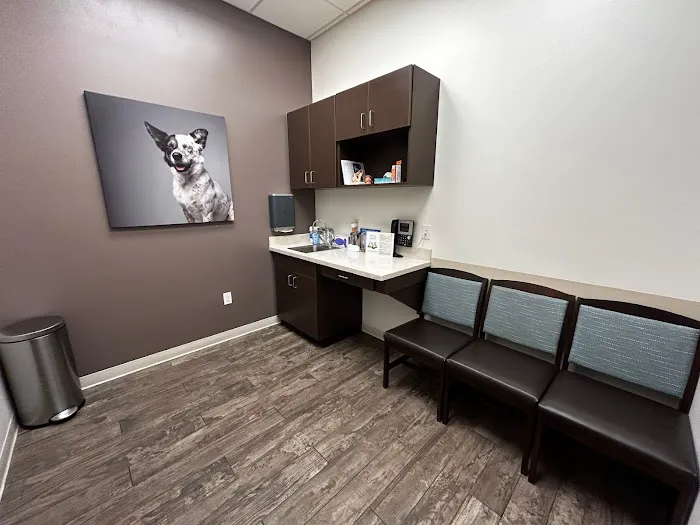 VCA Village Park Animal Hospital and Range Pet Lodge Picture 4
