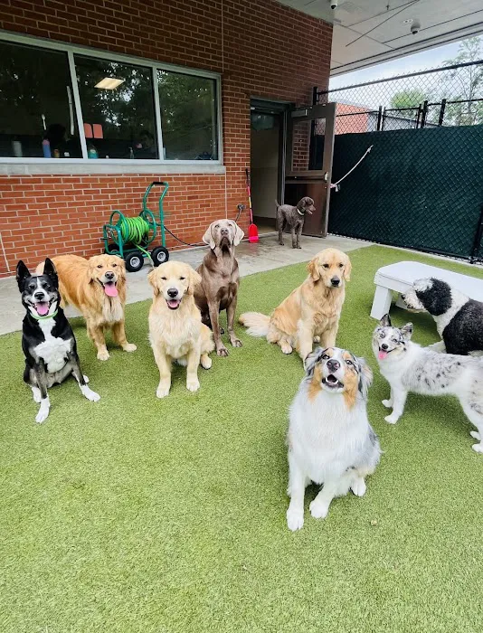 VCA Village Park Animal Hospital and Range Pet Lodge Picture 2