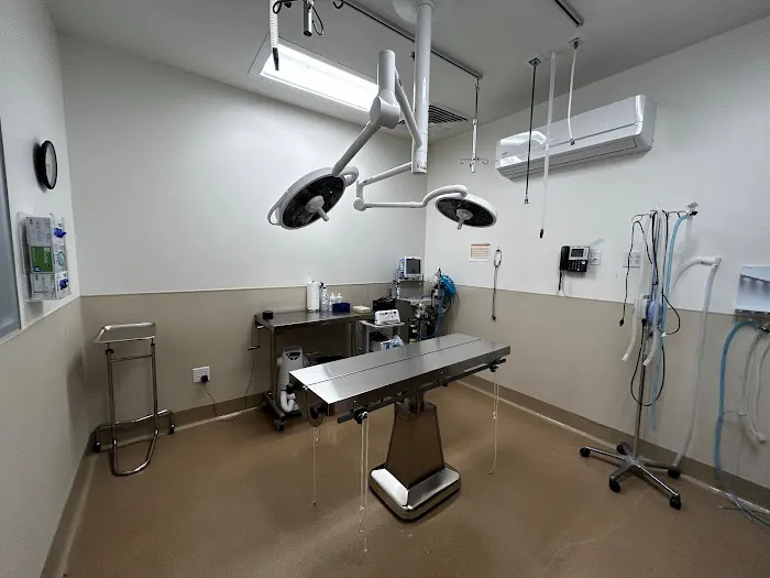VCA Village Park Animal Hospital and Range Pet Lodge Picture 3