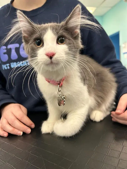 PetVet Animal Hospital Picture 6