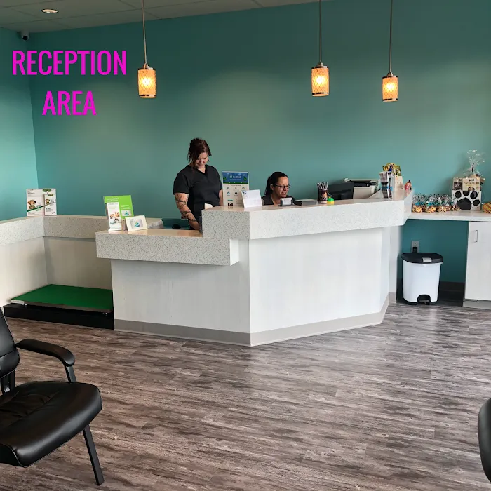 VetCheck Pet Urgent Care Center - Fishers IN Picture 10