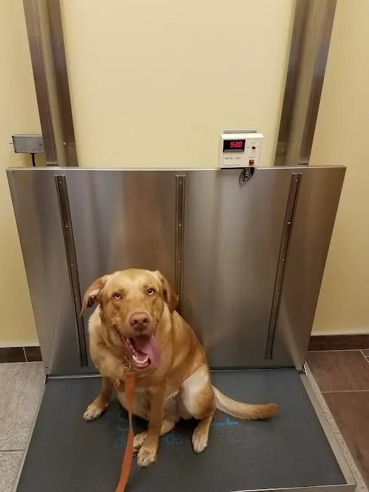 VCA Stoney Creek Animal Hospital Picture 1