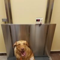 VCA Stoney Creek Animal Hospital ico