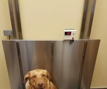 VCA Stoney Creek Animal Hospital