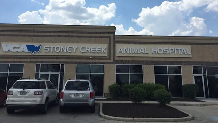 VCA Stoney Creek Animal Hospital Picture 9