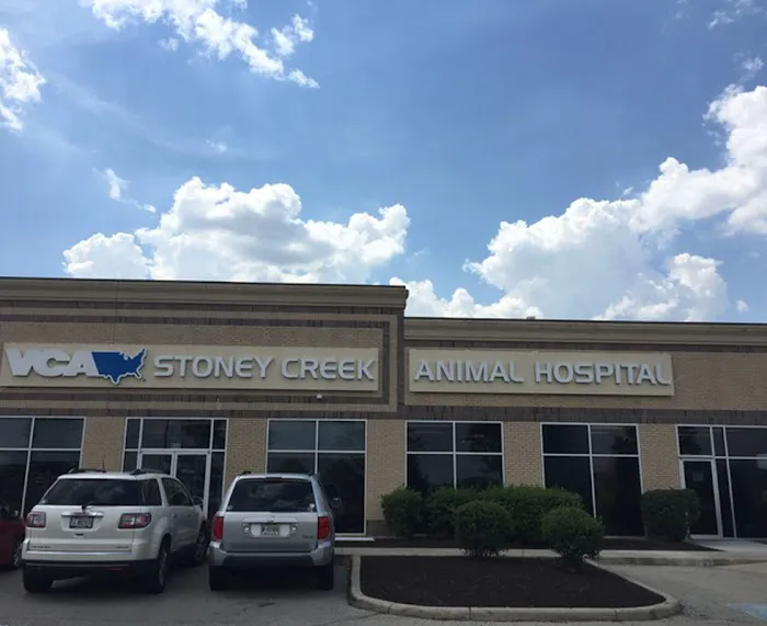 VCA Stoney Creek Animal Hospital Picture 10