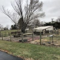 Briarcrest Animal Hospital ico