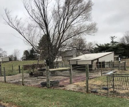 Briarcrest Animal Hospital