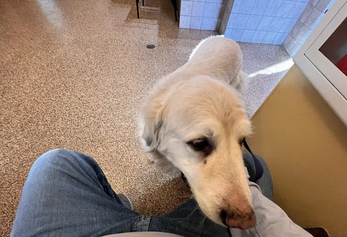 Franklin Animal Clinic Picture 7