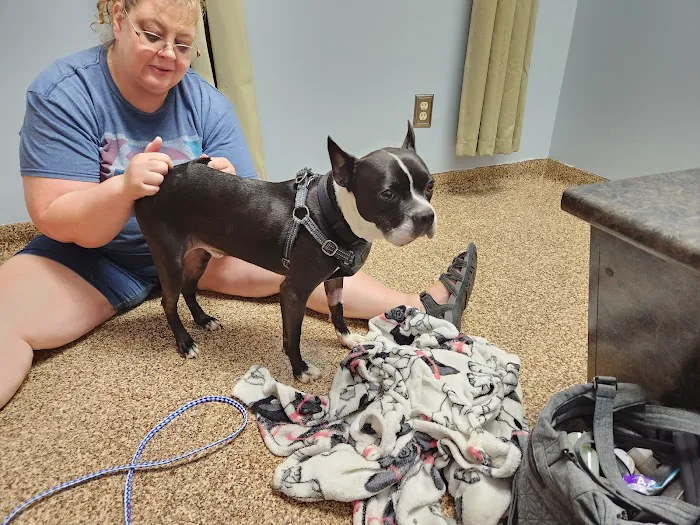Franklin Animal Clinic Picture 10