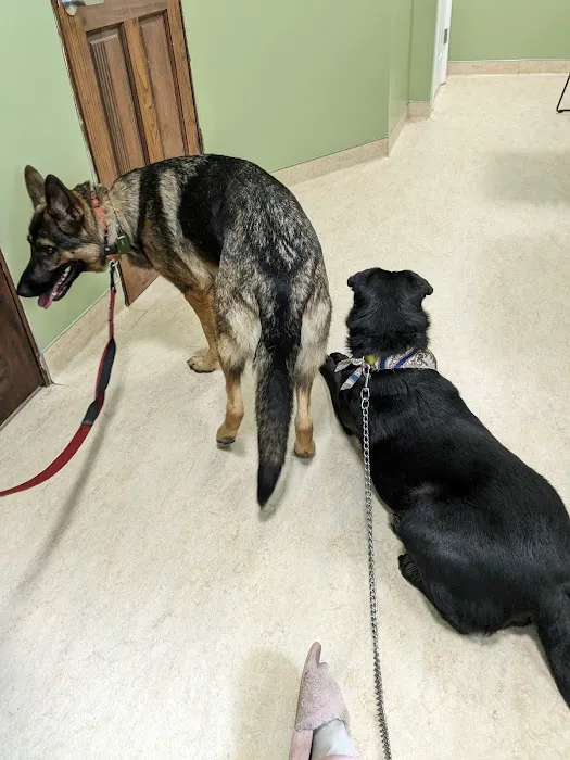 Tender Loving Care Animal Hospital Picture 5