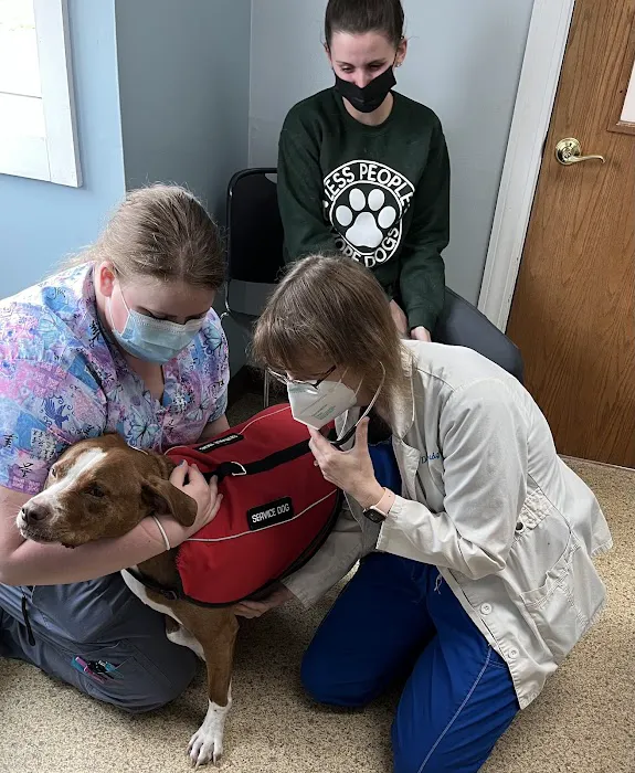 Tender Loving Care Animal Hospital Picture 10