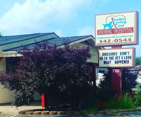 Tender Loving Care Animal Hospital